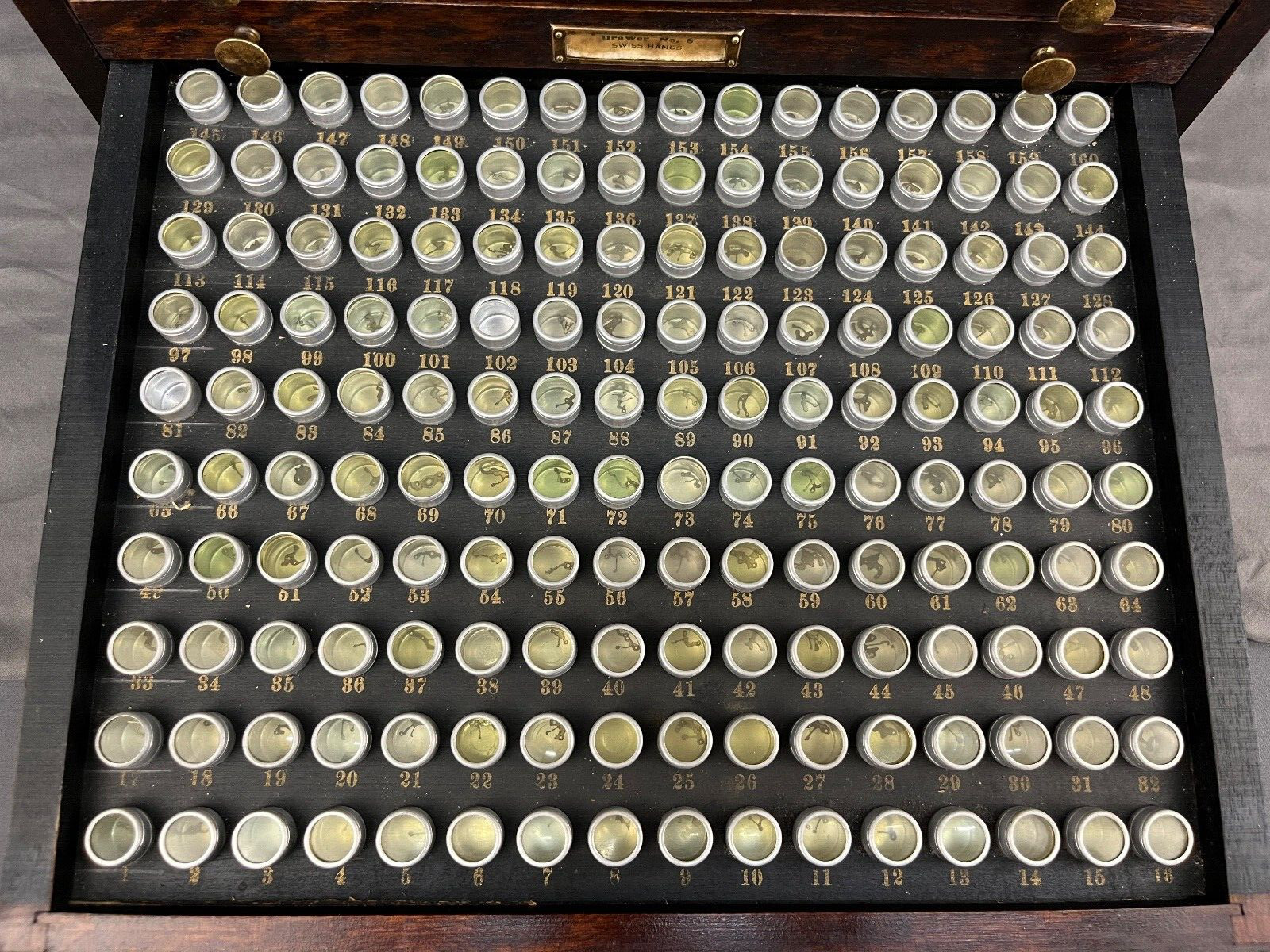 Antique Marco Table Top Mahogony Watch Case 10 Drawers and 1540 Slots + Parts