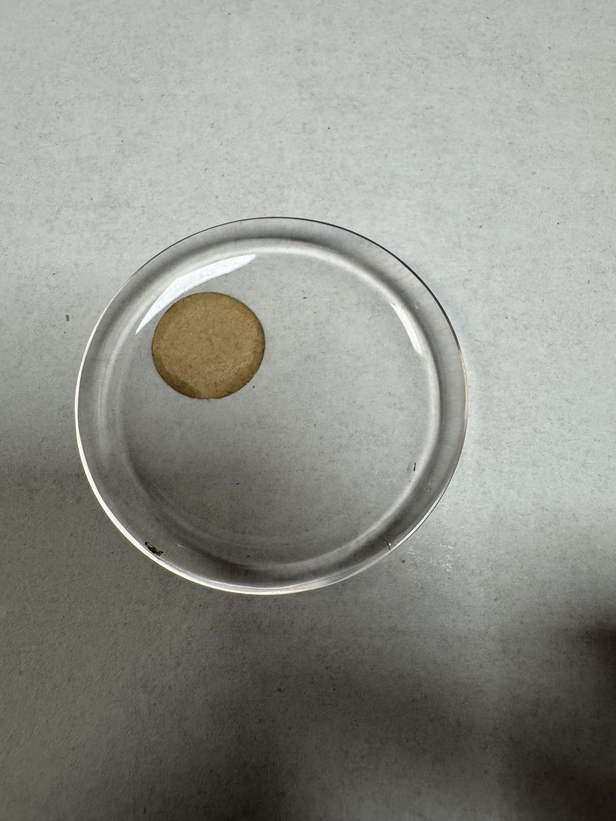 Vintage Unmarked Pocket Watch Round Acrylic Crystal Domed 43.72mm 21 Clear Lens
