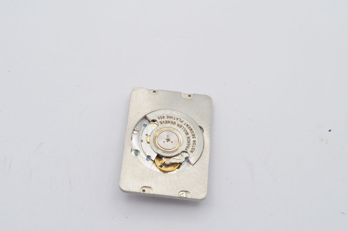 Franck Muller Men Watch Long Island Movement Platinum Rotor Dial