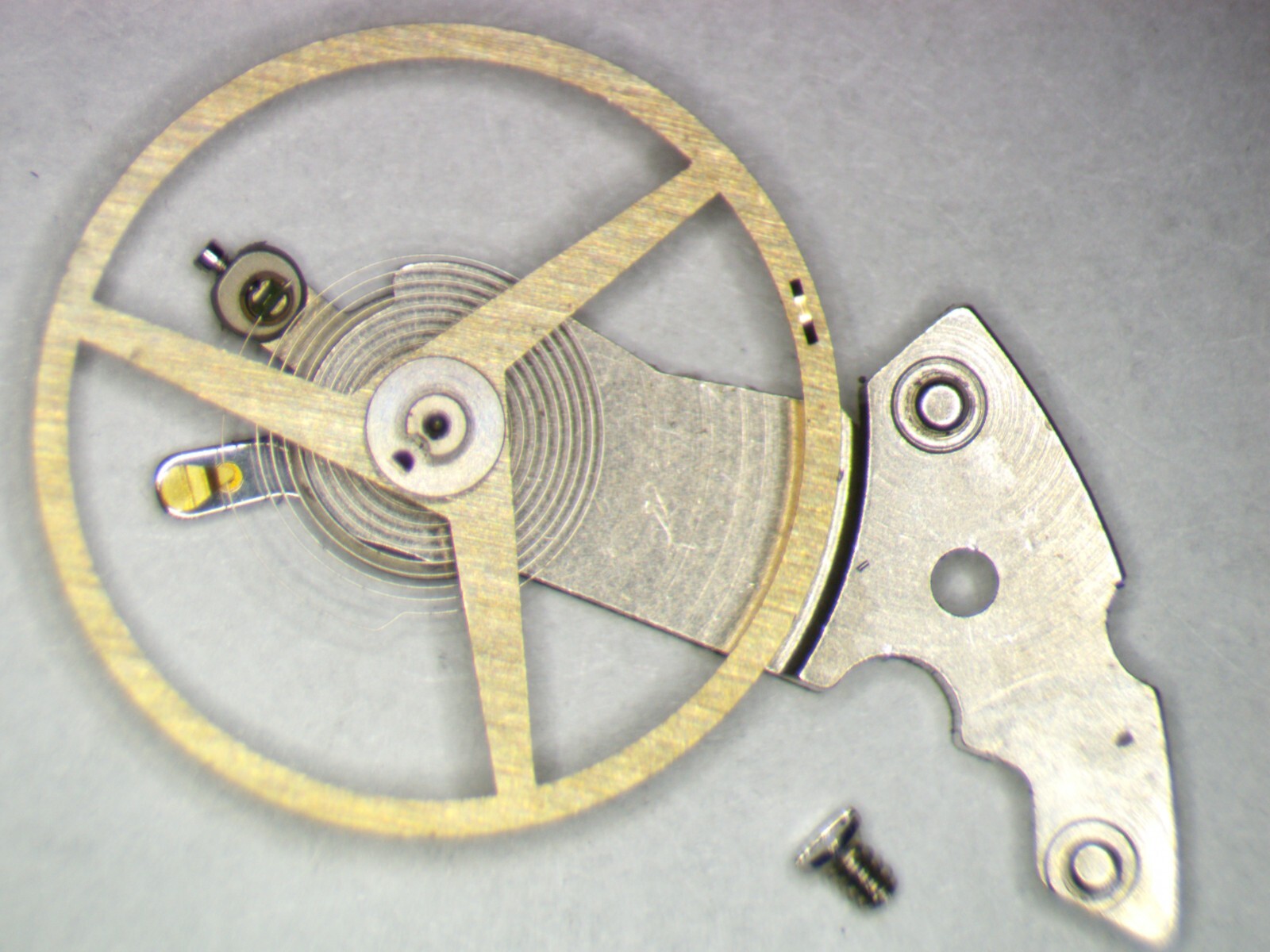 Hamilton 827 ETA 2789-1 0721 Balance Complete w/screw Parts, Repair