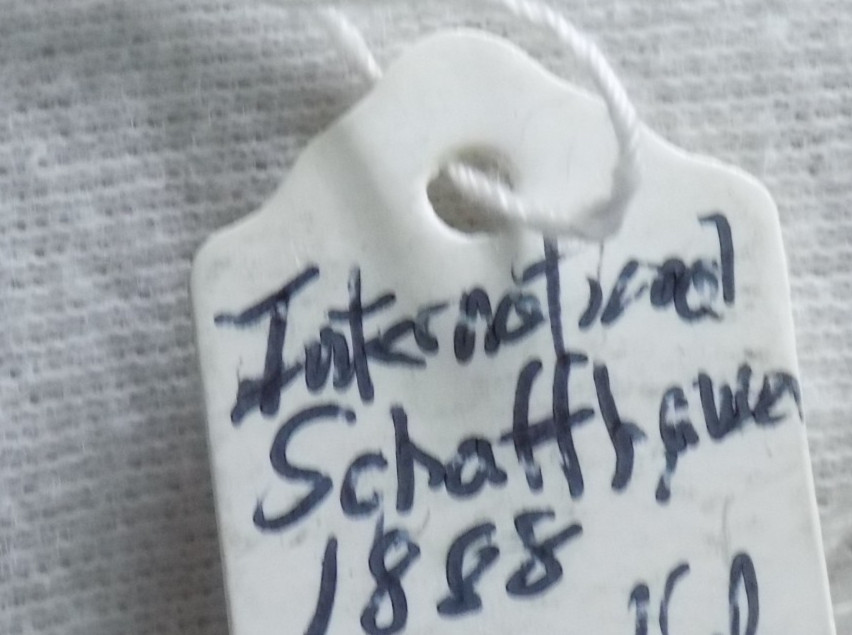 IWC 1888 International Watch Co. Schaffhausen 15J Pocket Watch Movement Parts