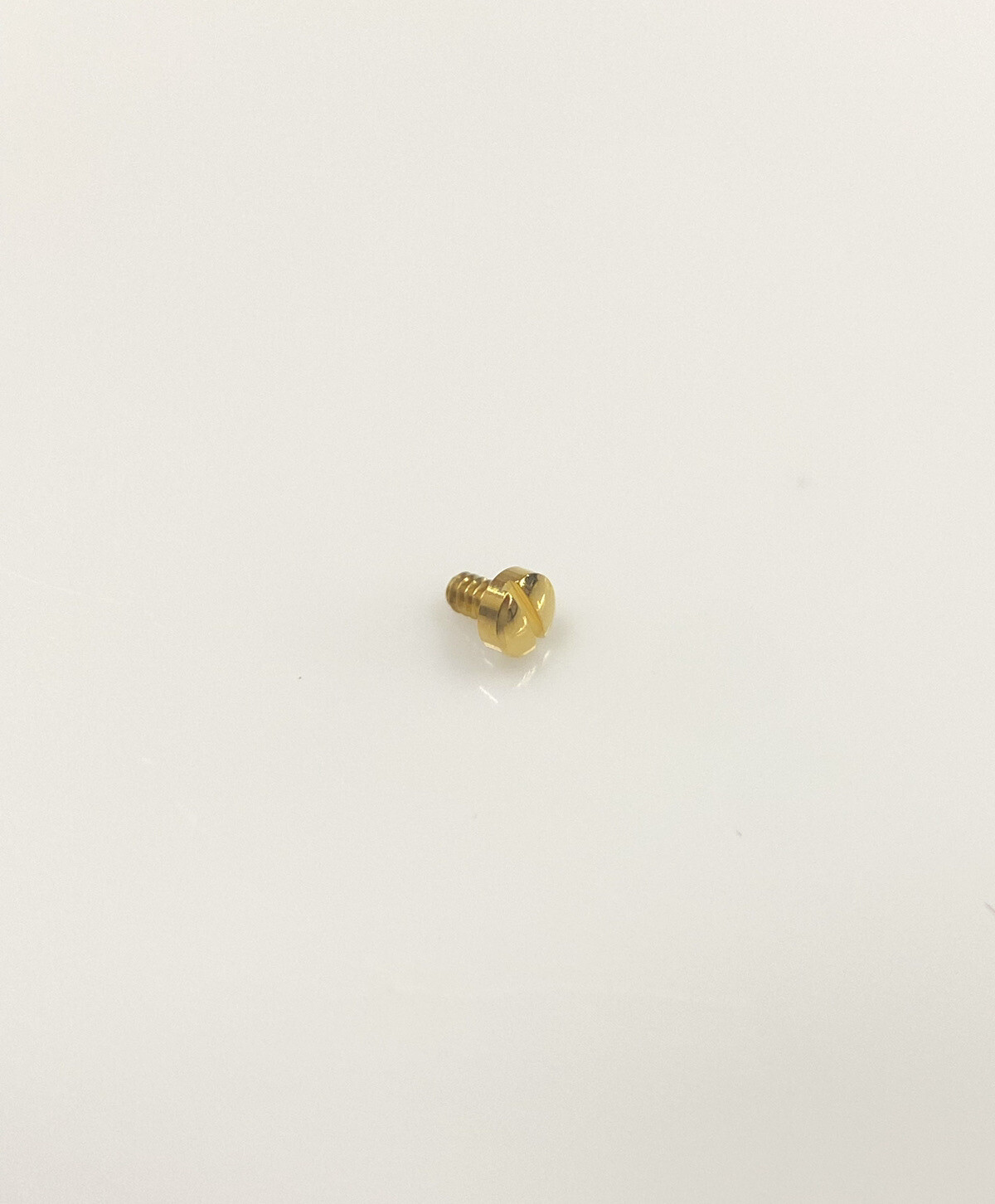 Genuine Ebel Beluga 866969 Case Back Yellow Gold Screw
