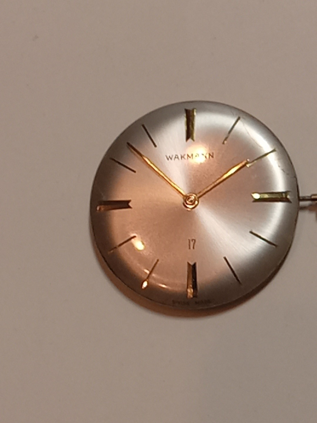 wakmann watch Movement 17 Jewels Swiss Mens Watch Mnual