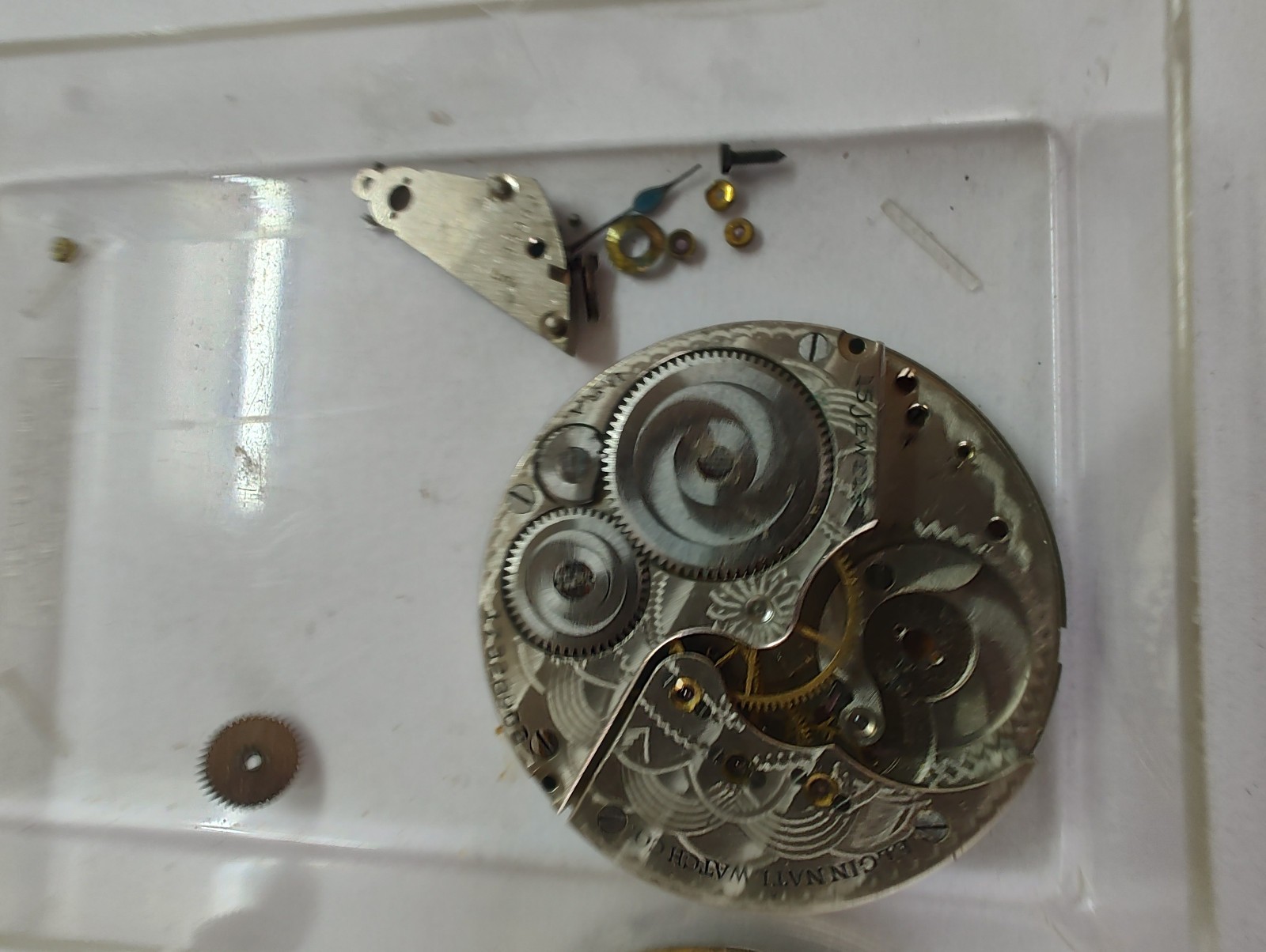 Elite Elgin National Watch Co. Archive: 1900s Movements, Fancy Enamel Dials !!