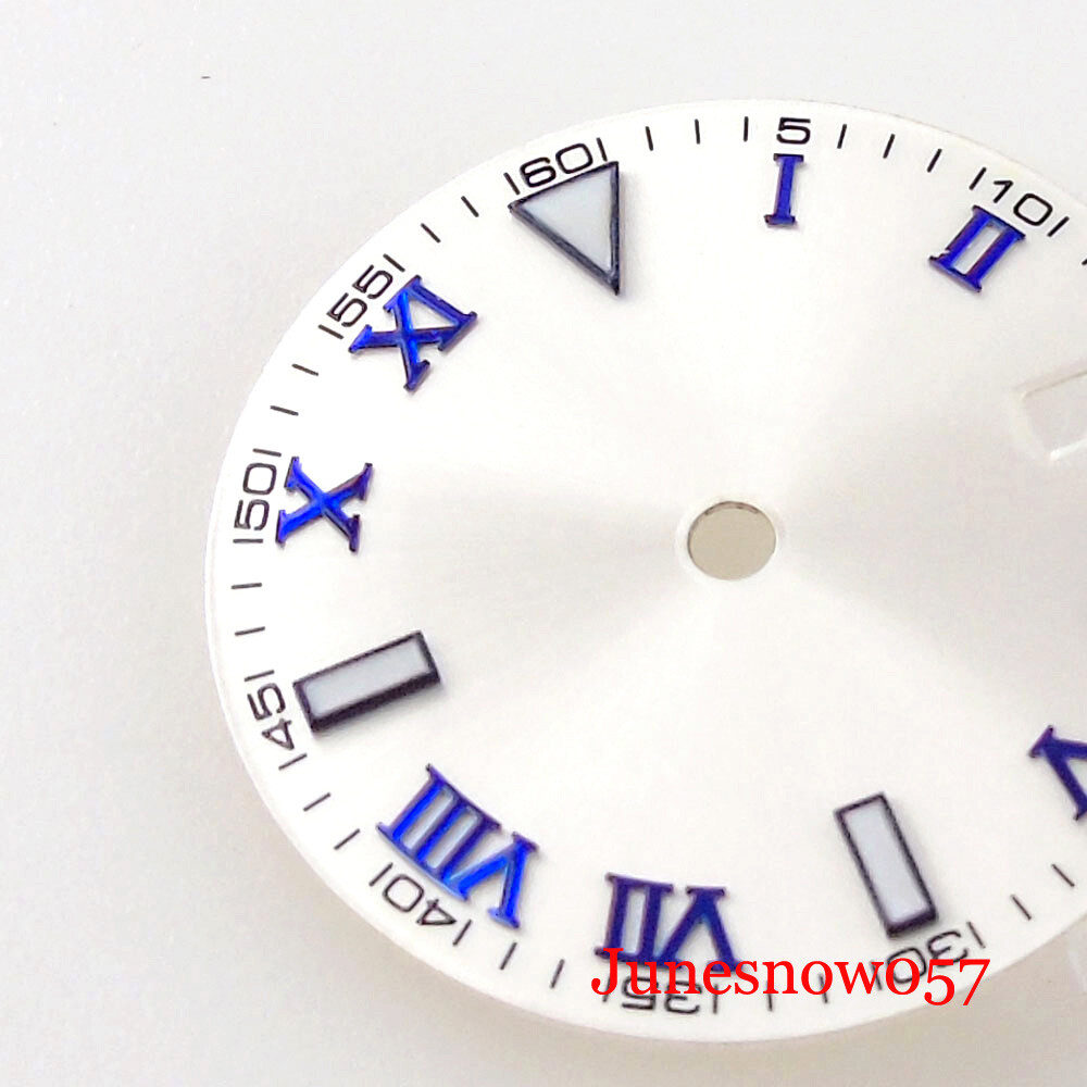 Silver Watch Dial Roman Numbers Lume 29MM Fit NH35 MIYOTA ETA2824 Movement Men’s