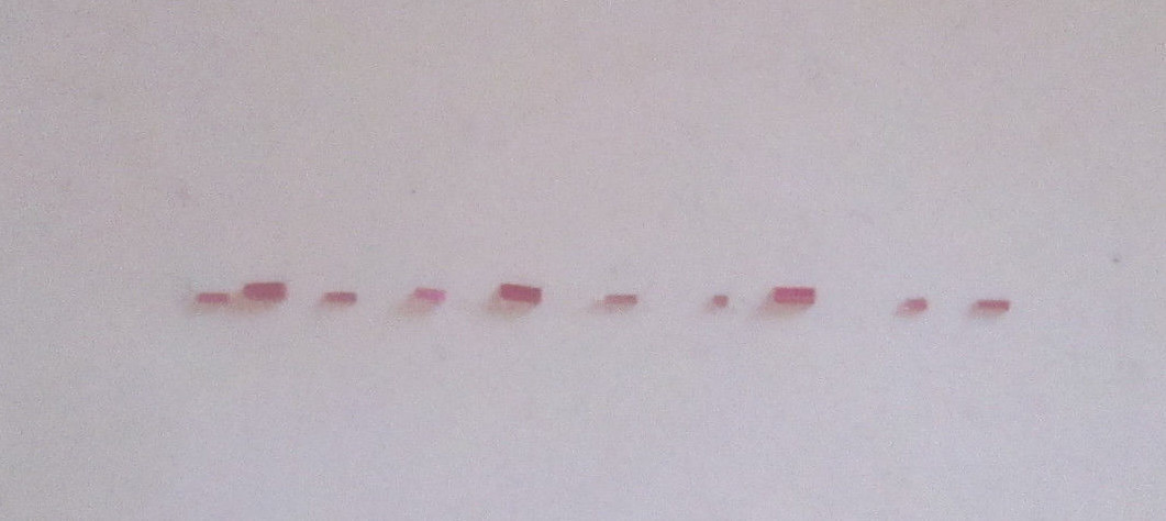 Roller Jewels “D” Style NOS for American PW Assorted 10/ Lot