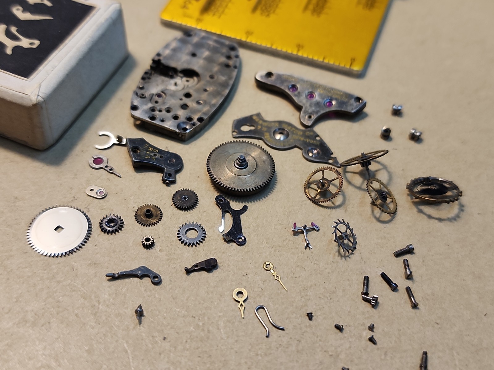 Vintage Tonneau Shape Warwick Swiss 15j 3 Adjustments Movement Parts