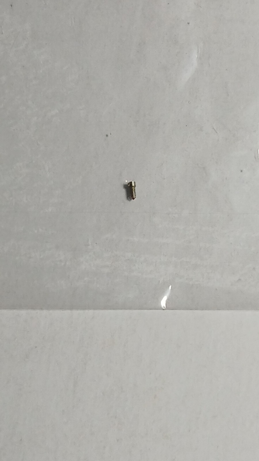 2609HA Watch Dial Feet Screw, Screw to secure dial
