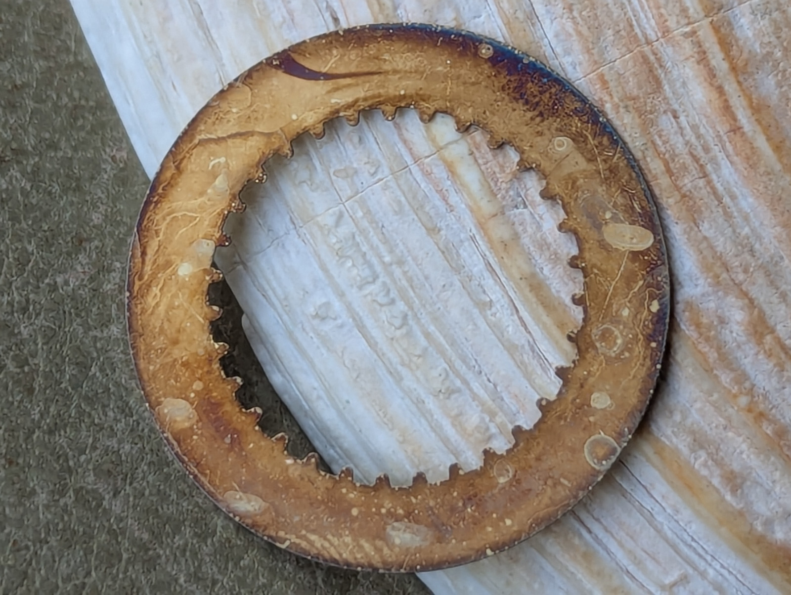 Genuine Vintage Rolex Champagne Date Wheel w/Flat Top 3’s,Open 6 & 9’s EXCEPT 26