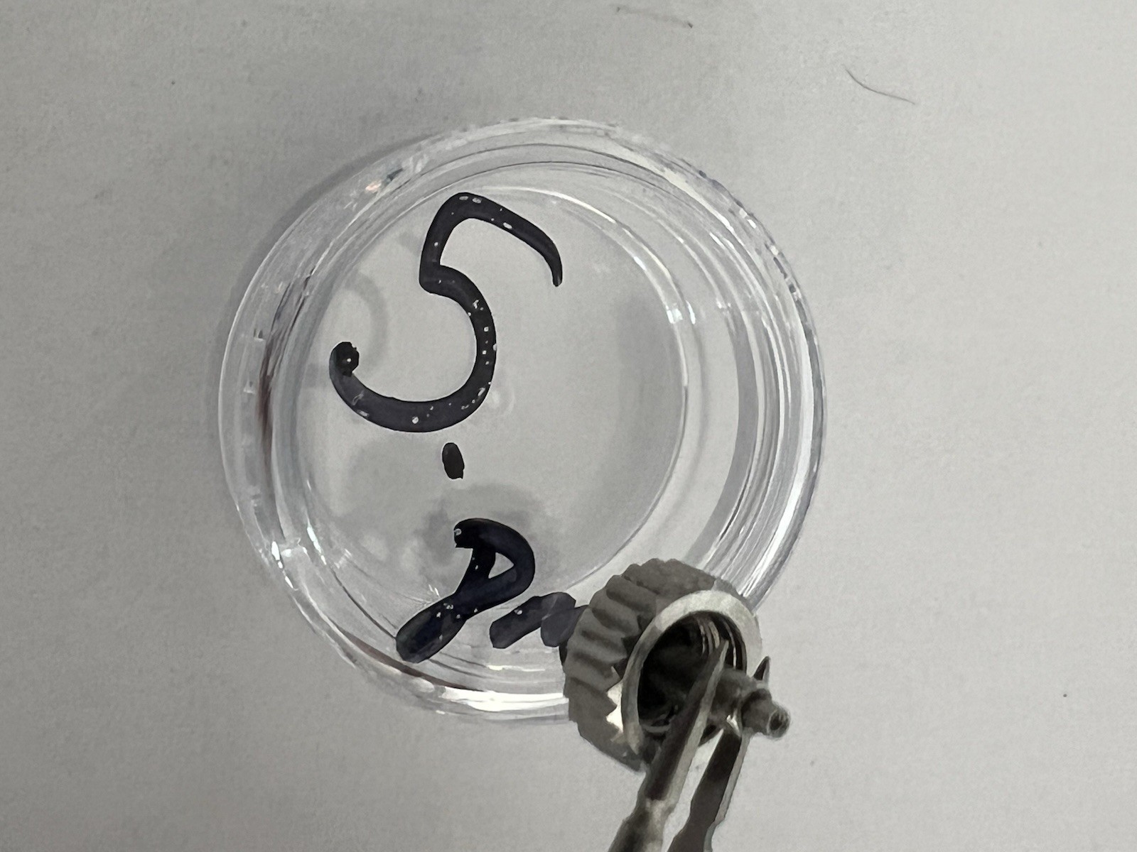 Genuine Rolex 803 Crown 8mm Steel for Submariner / Yacht-Master II #5