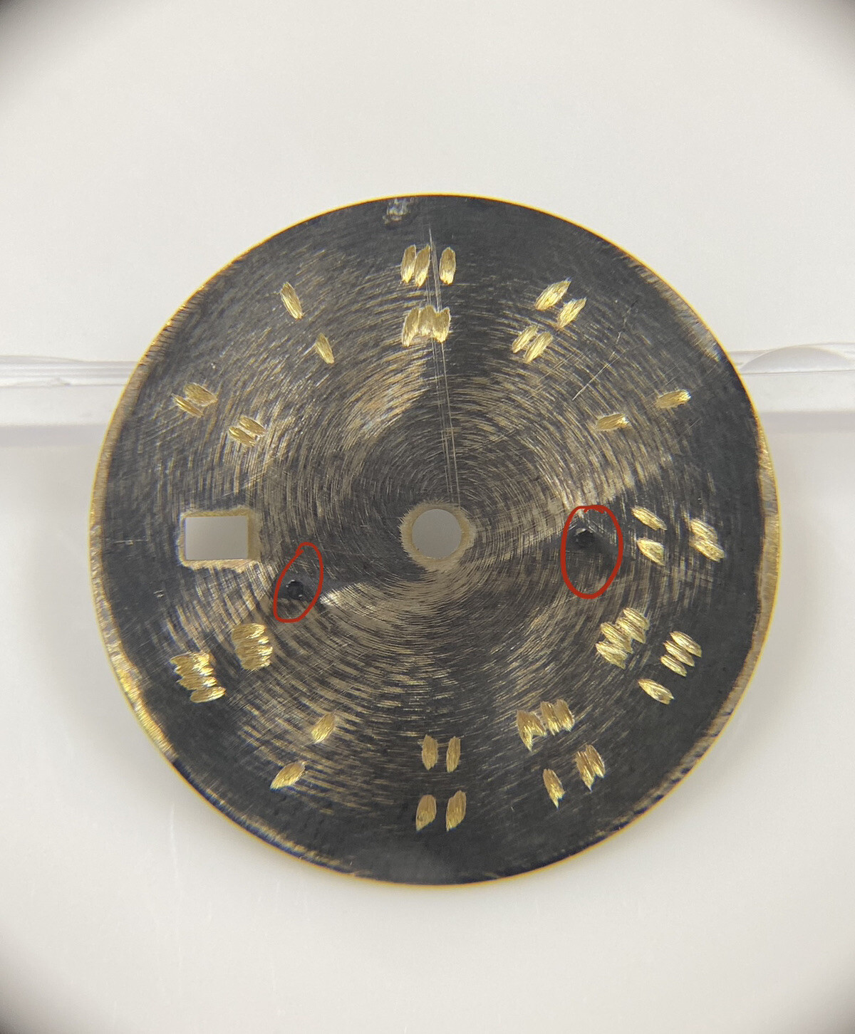 Original Ebel Sportwave Ref. 1087131 Black/Gold Roman Numeral 23.5mm Dial