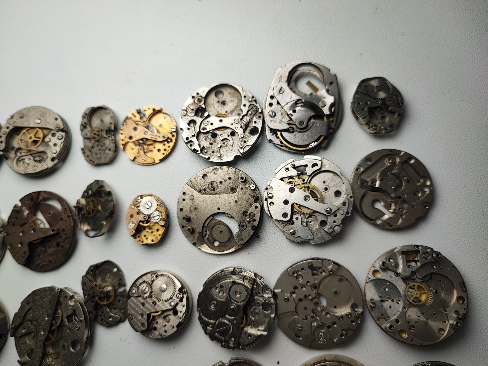 mix Watch Main Plate platinum lot watchmaker ut int fe as st rw jej bfg others
