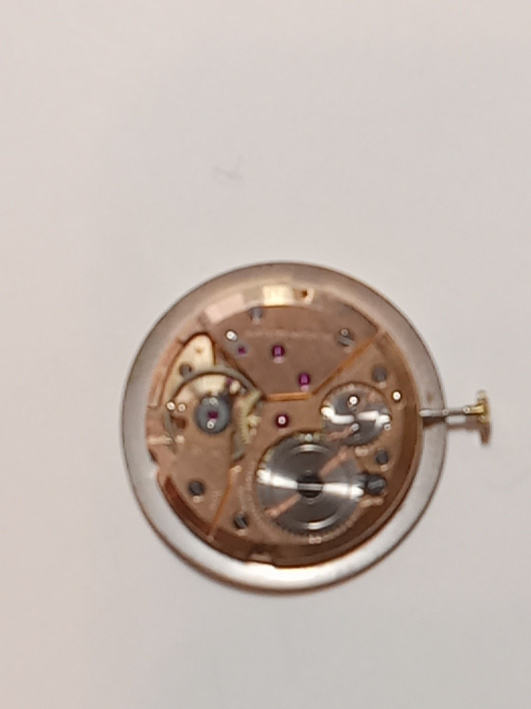 wakmann watch Movement 17 Jewels Swiss Mens Watch Mnual