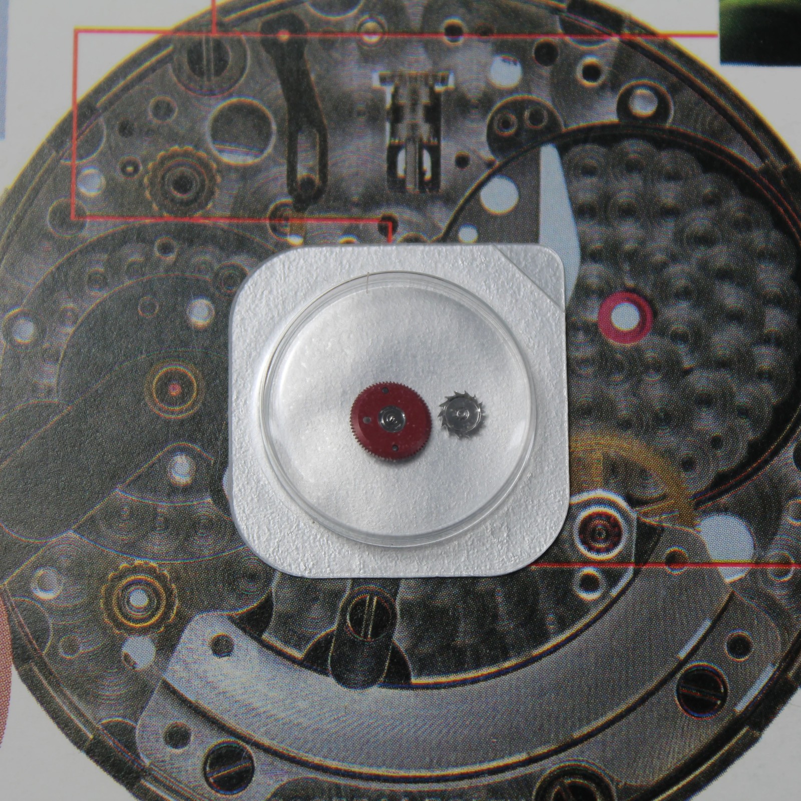 NEW Rolex 2230-540 Original Reverse Wheel In Blister