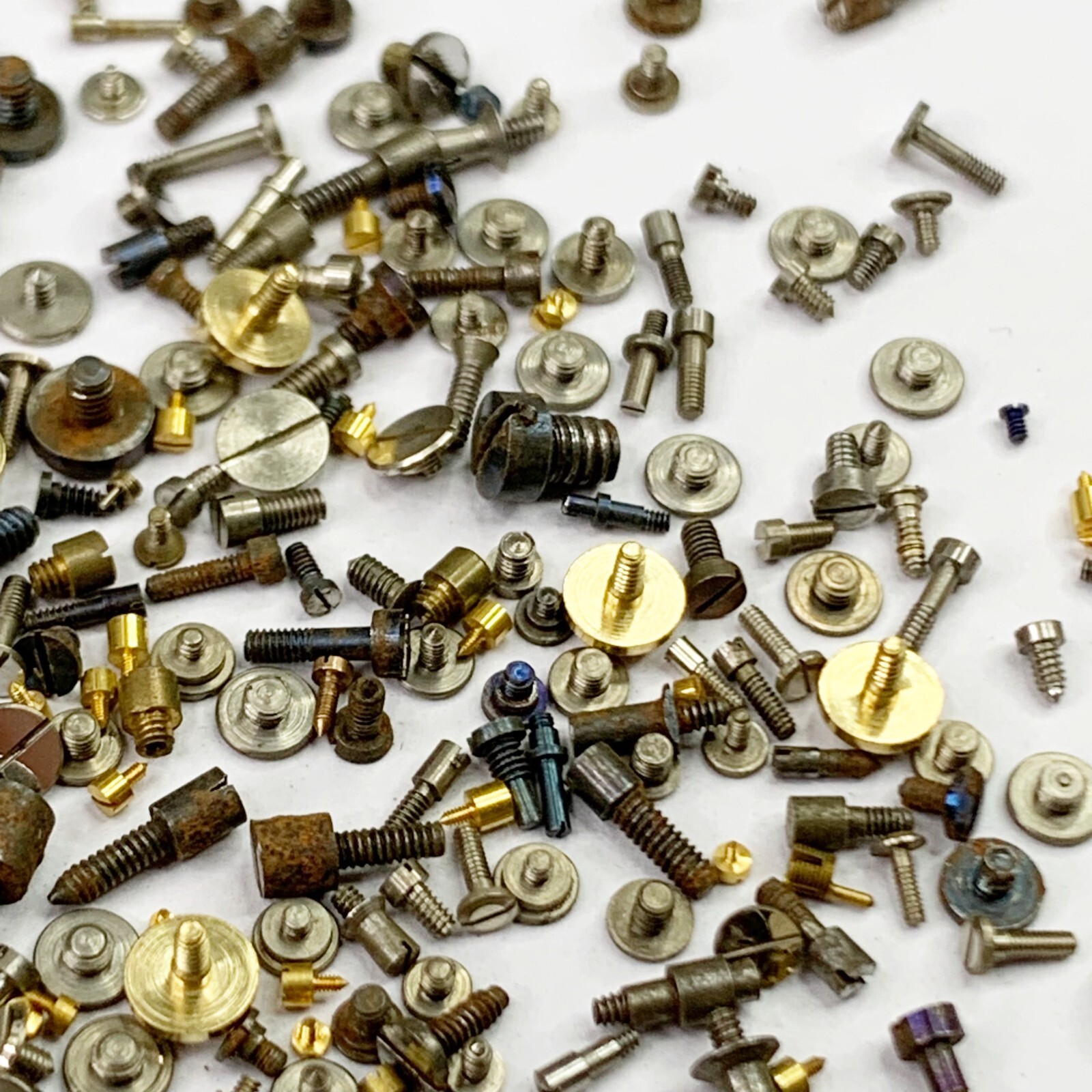 100 Watch Screws Pocket Wrist Silver Blue Gold Parts Watchmaker Repair Job Lot