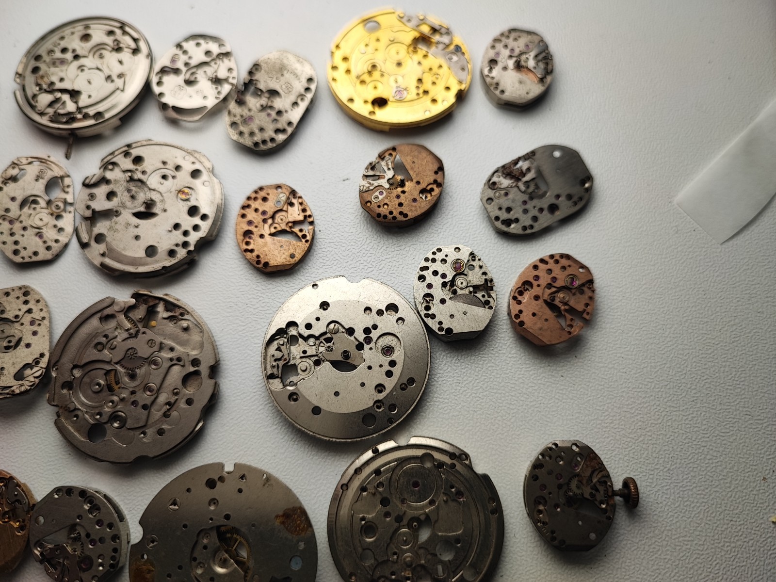 mix Watch Main Plate lot watchmaker fef fhf as eb fe others