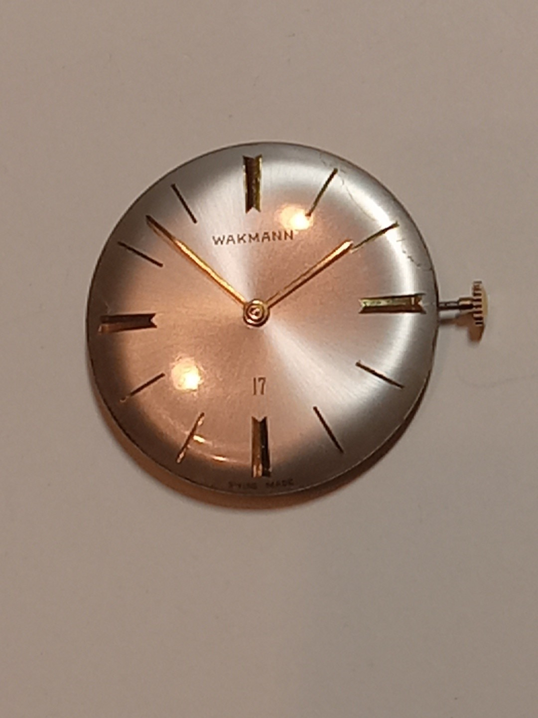 wakmann watch Movement 17 Jewels Swiss Mens Watch Mnual
