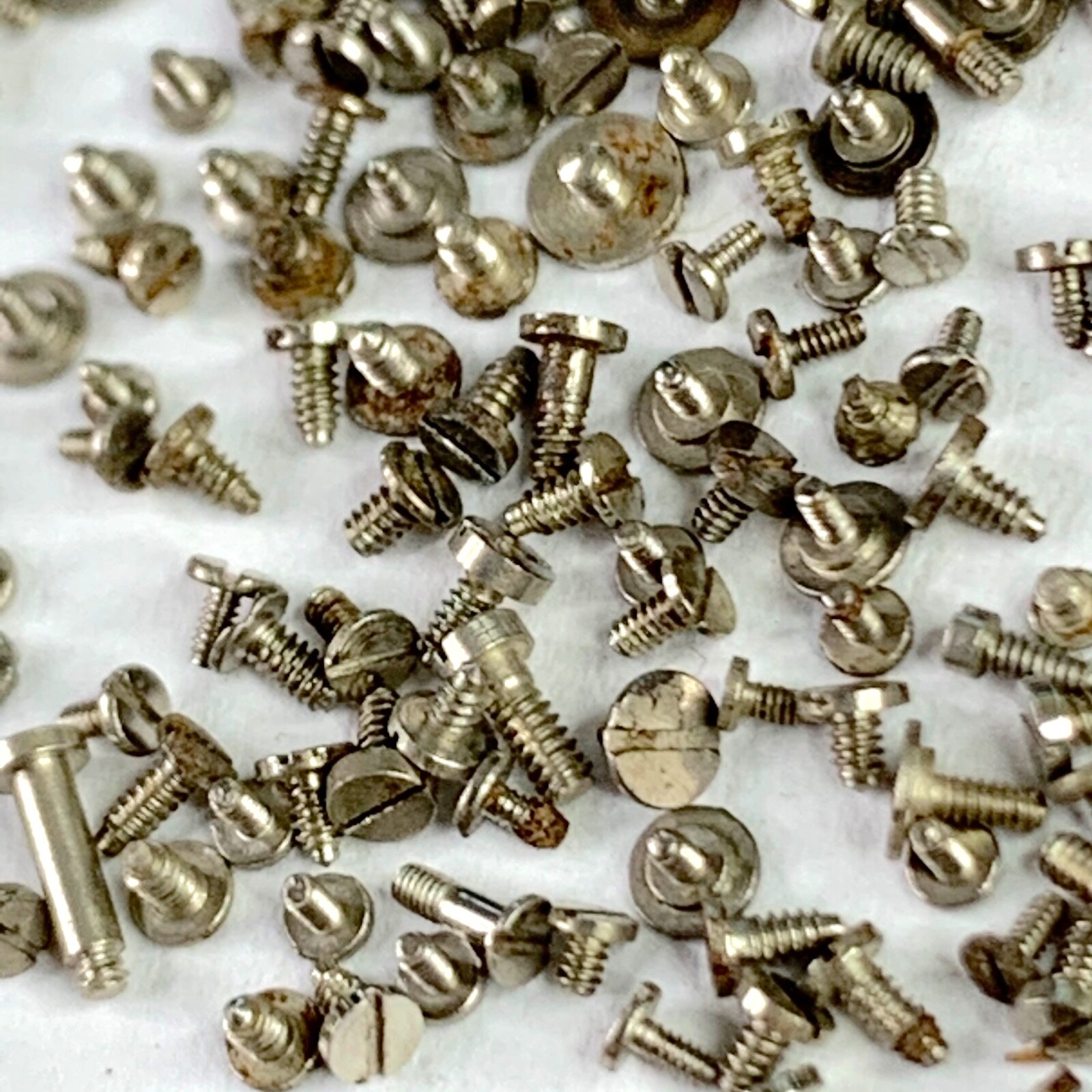 100 Watch Screws Tiny Steampunk Altered Art Parts Watchmaker Lot Repair Wrist