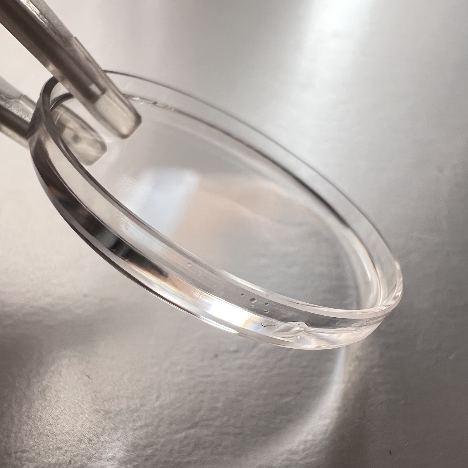 Watch Plastic Plexi Acrylic Crystal Glass for Rolex 1560 29.2*4.7mm
