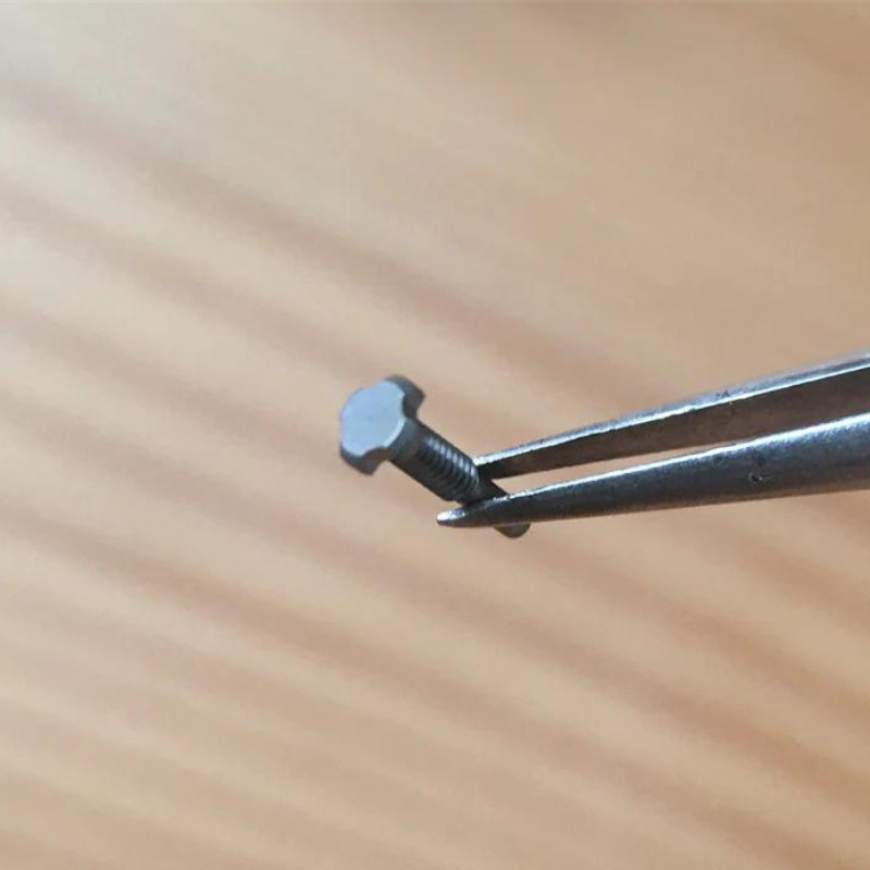 1pcs Titanium 4 Prongs Watch Screw Fits Richard Mille RM005 RM010 07 Band/Bezel