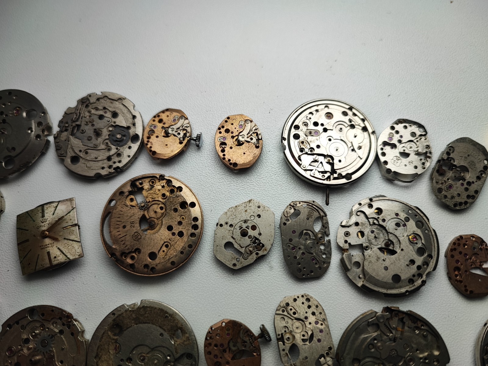 mix Watch Main Plate lot watchmaker fef fhf as eb fe others