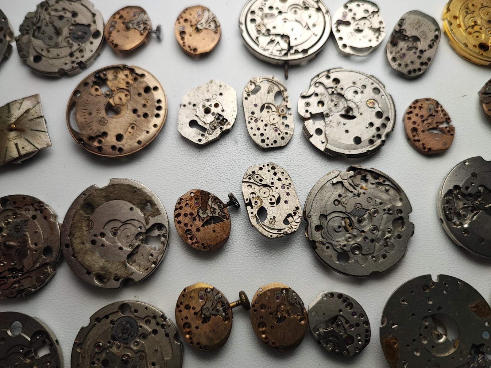 mix Watch Main Plate lot watchmaker fef fhf as eb fe others