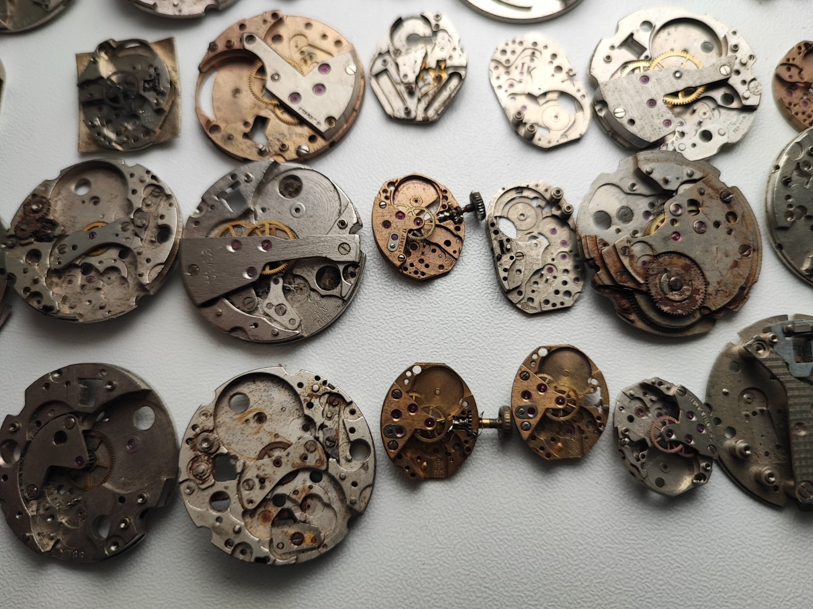 mix Watch Main Plate lot watchmaker fef fhf as eb fe others