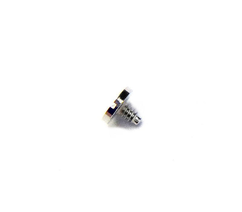 Genuine Rolex 3135 5210 Screw for Crown and Ratchet Wheel Watch Caliber Movement