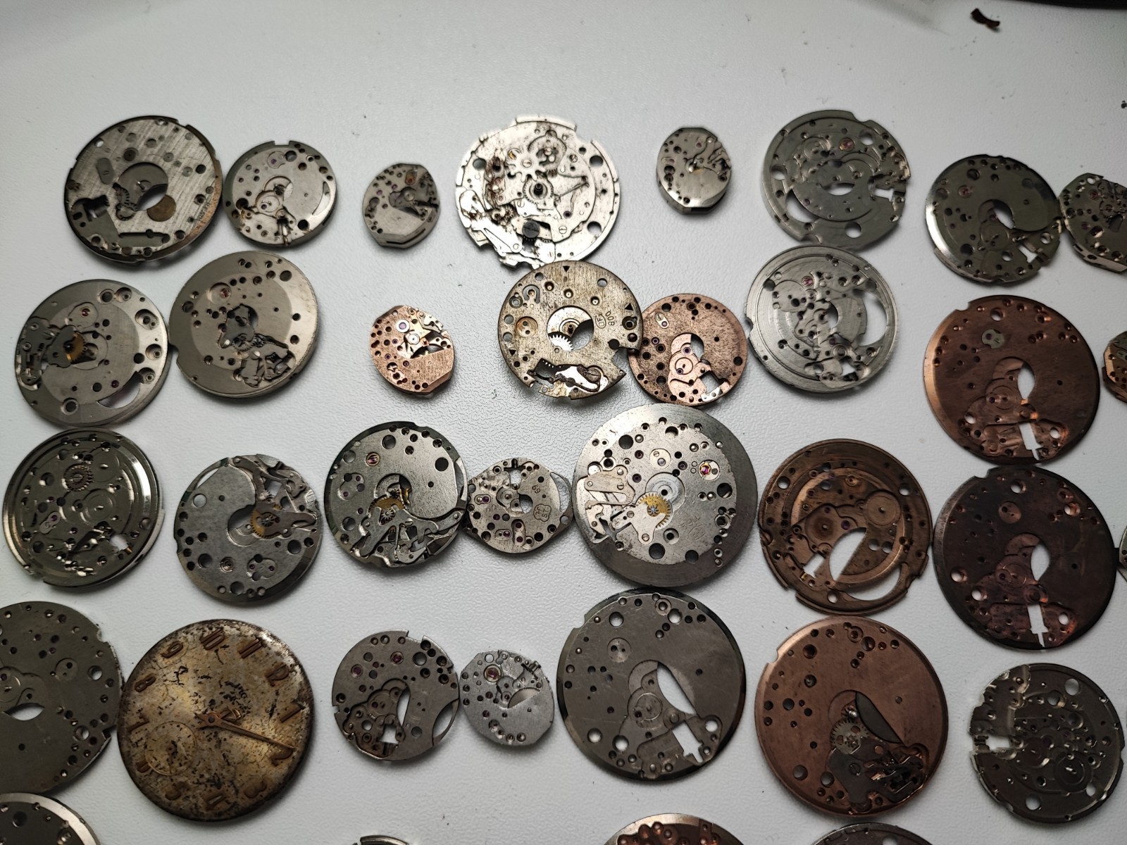 mix Watch Main Plate platinum lot watchmaker brac as fef fe int bfg ut gub ot…