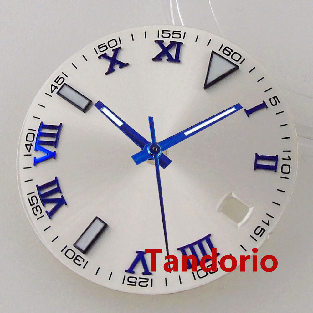 29mm White Watch Dial Luminous for NH35A MIYOTA ETA2824 PT5000 Roman Number Mark