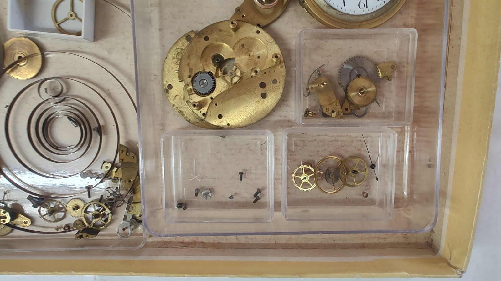 Antique Roskopf Patent Wille Frères Watch Parts Lot – Movements Dials Cases
