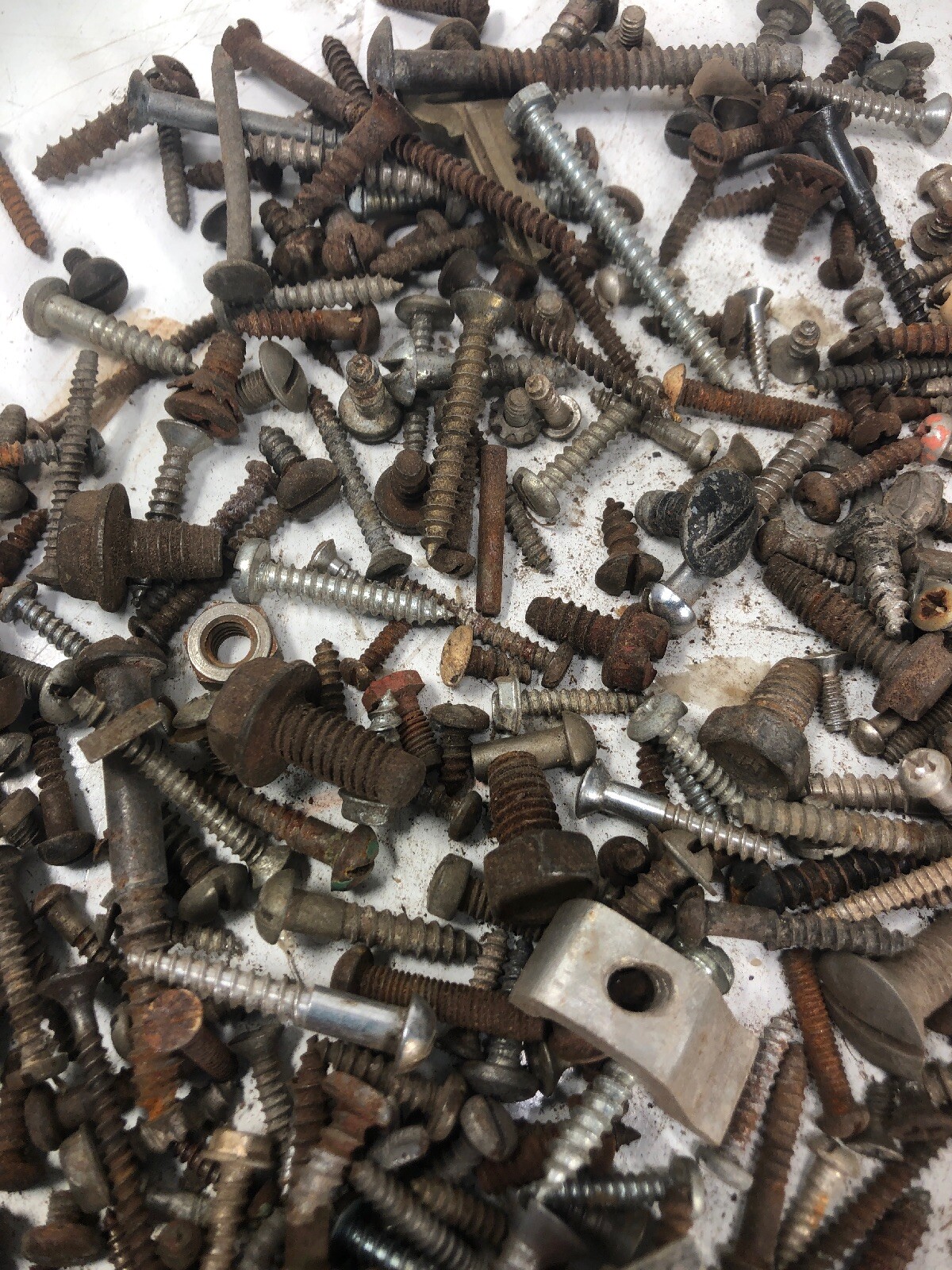5+ Lbs ANTIQUE AND VINTAGE SCREWS, Fasteners Philips Flat Blade Rustic