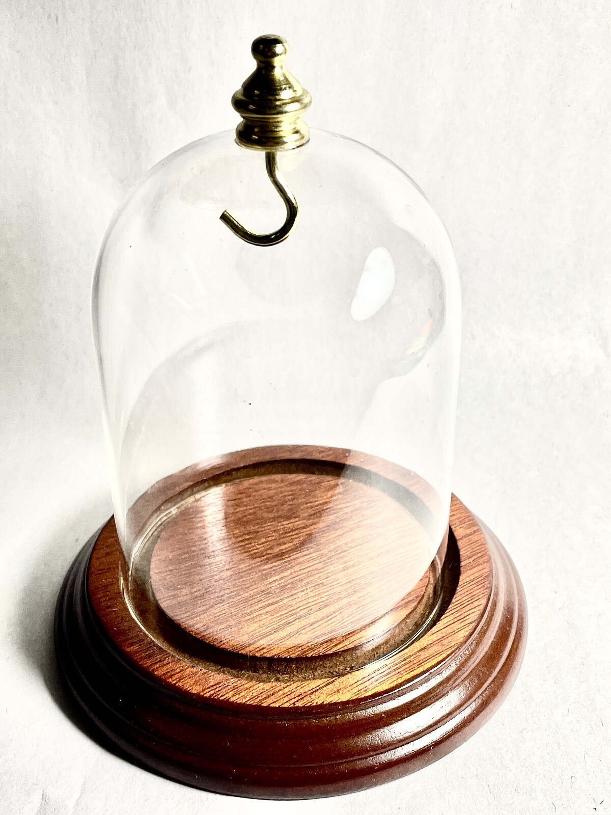 3″ x 4″ Glass Display Dome with Brass Knob, Walnut Finish Base, Free Ship NEW