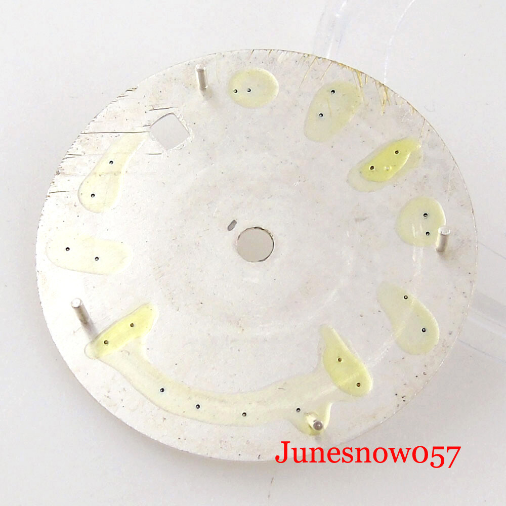 Silver Watch Dial Roman Numbers Lume 29MM Fit NH35 MIYOTA ETA2824 Movement Men’s