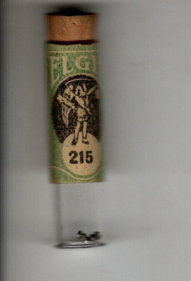 Vintage Elgin Watch Large Jewel Screws from old Material Case