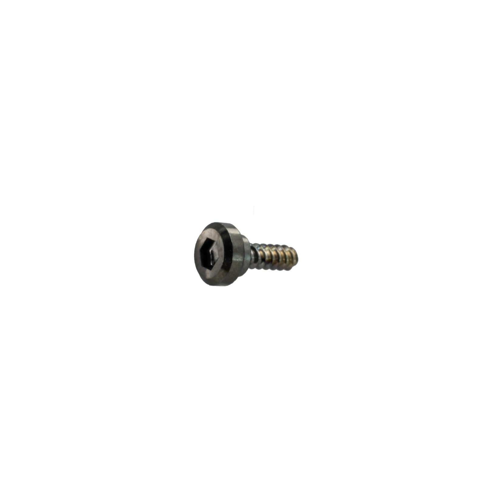 Genuine Casio Bezel Decorative Screw for GWG-2000TLC GWG 2000TLC 2000 10639106