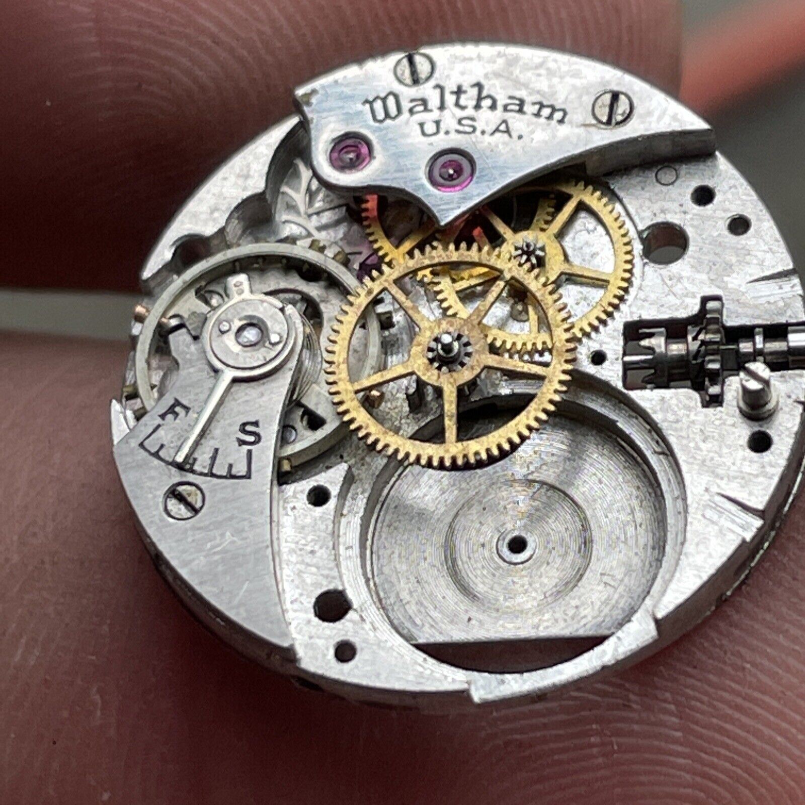 Vintage Waltham Watch Co. Movement.