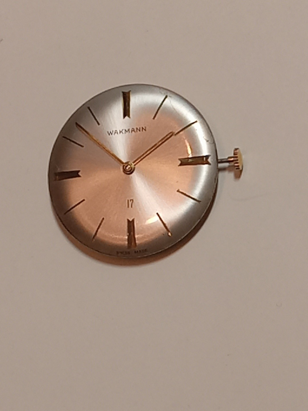 wakmann watch Movement 17 Jewels Swiss Mens Watch Mnual