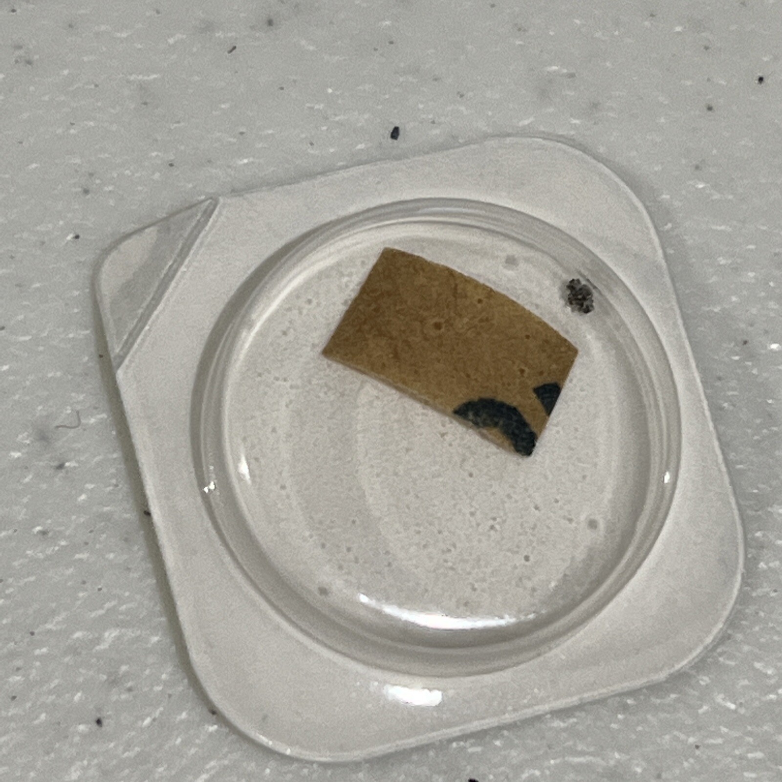 Rolex 2030 4444 Wig Wag Pinion New Authentic Original Sealed