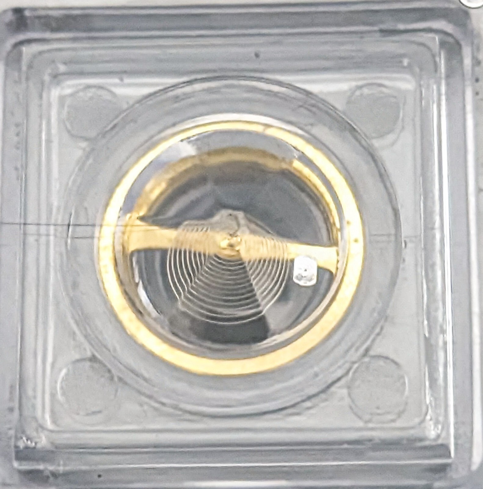 Complete Balance For Seiko Cal. 4R16A 4R36A 7S26B 7S26C 7S36B 7S36C NH35