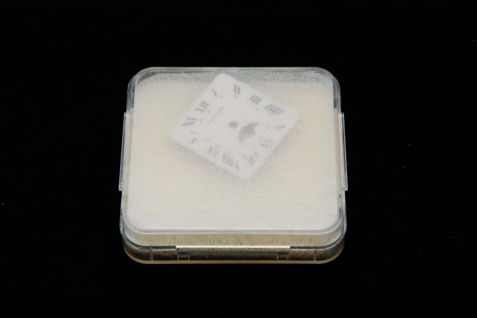 OEM Pre-Owned Cartier Santos Galbee Moon Phase Dial 18.2mm x 18.2mm Ref VA10015