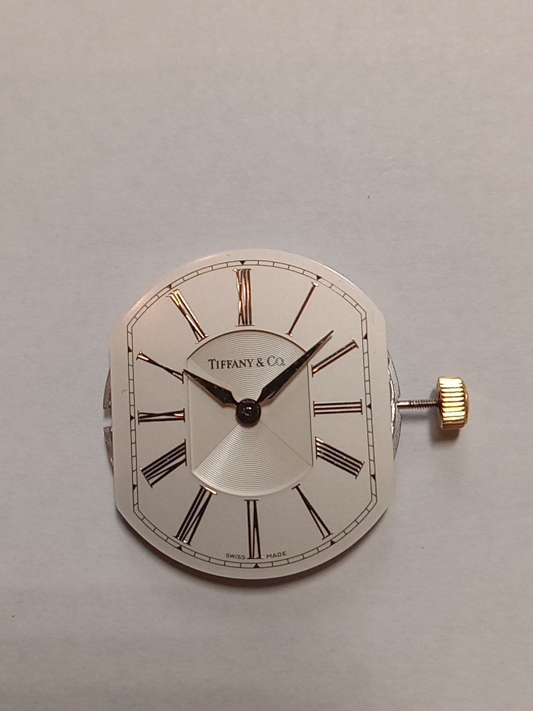 Tiffany & Co High Grade Movement 7 Jewels Mens Swiss Made Quartz 100% Original