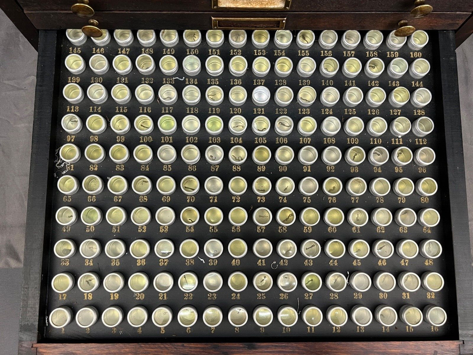 Antique Marco Table Top Mahogony Watch Case 10 Drawers and 1600 Slots + Parts