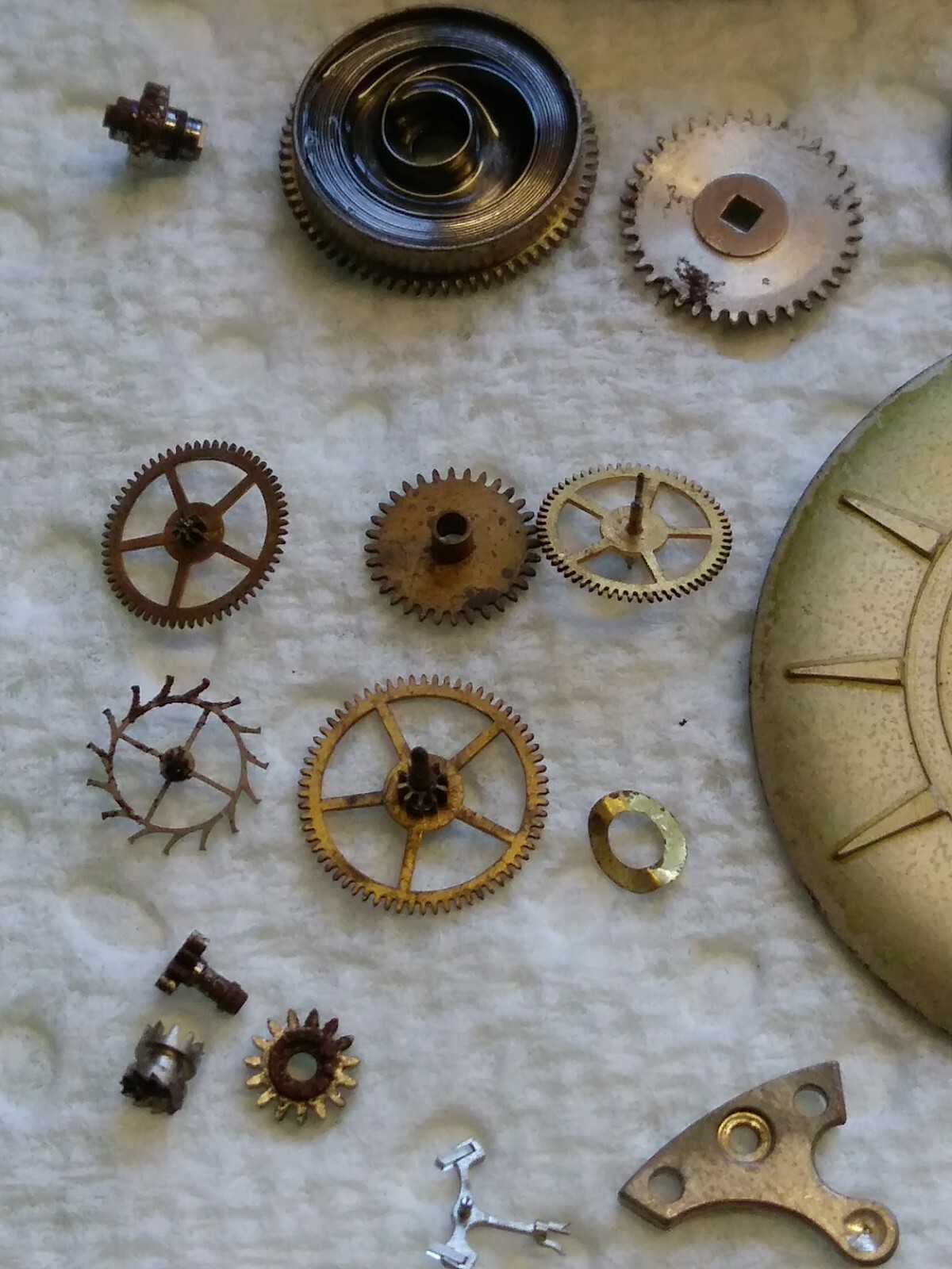 AS 1124 D Disassembled Wadsworth Movement, Dial, Hands, Holder, Case back Repair