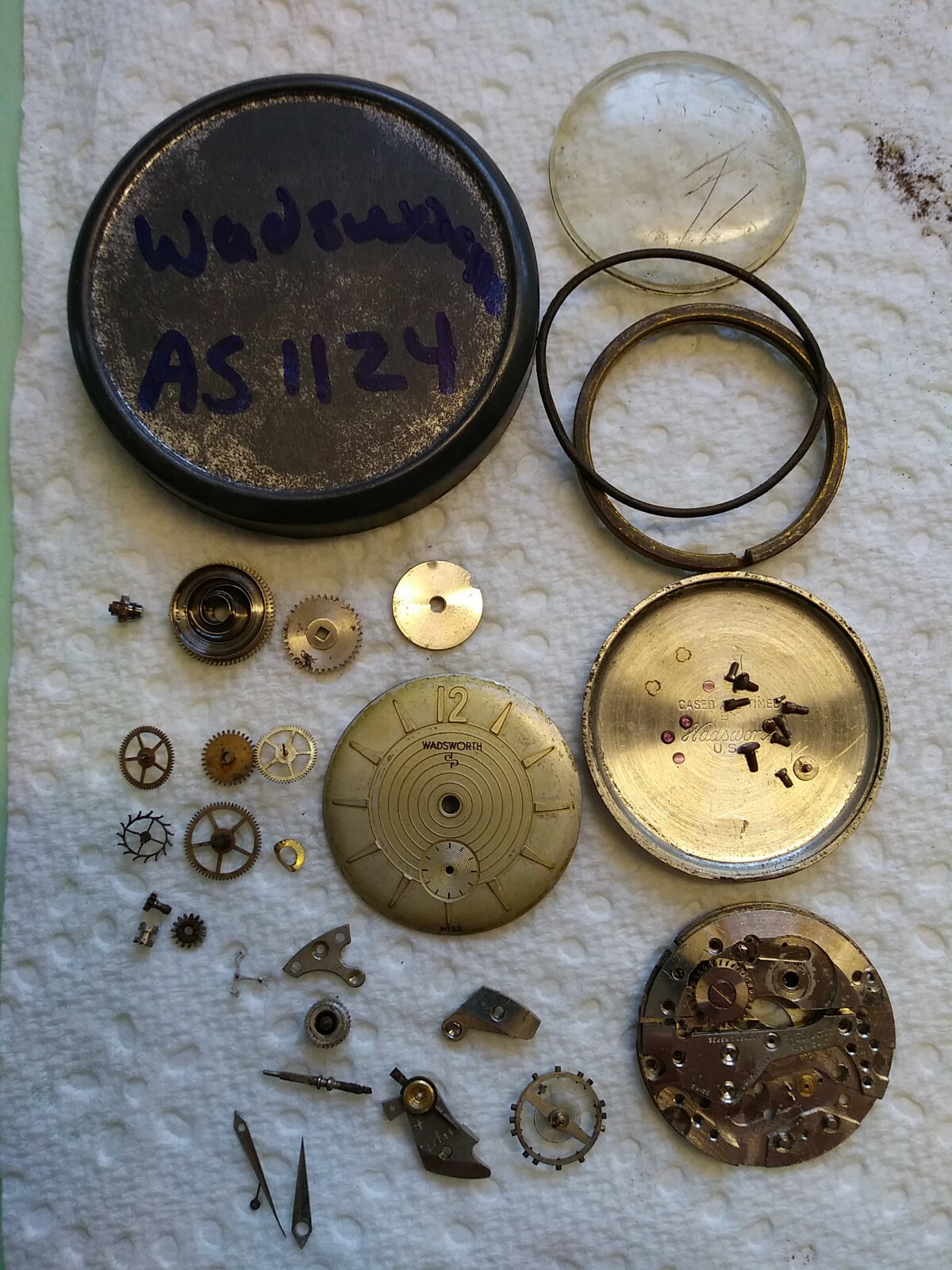 AS 1124 D Disassembled Wadsworth Movement, Dial, Hands, Holder, Case back Repair