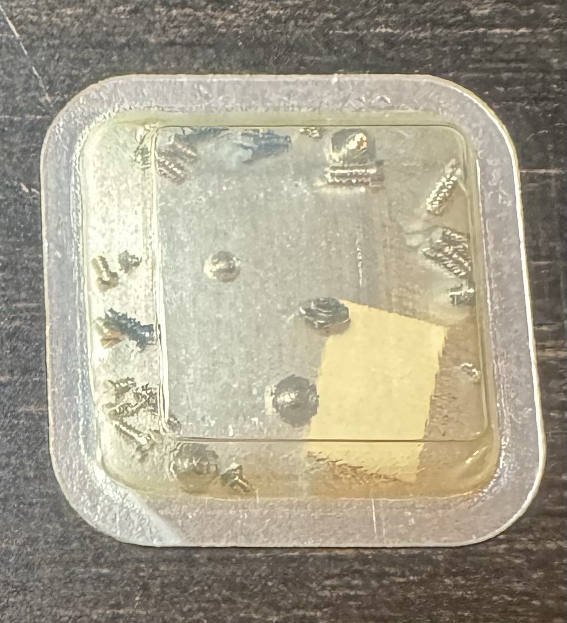 Rolex Cal. 1560 Part 7991 Set of Screws