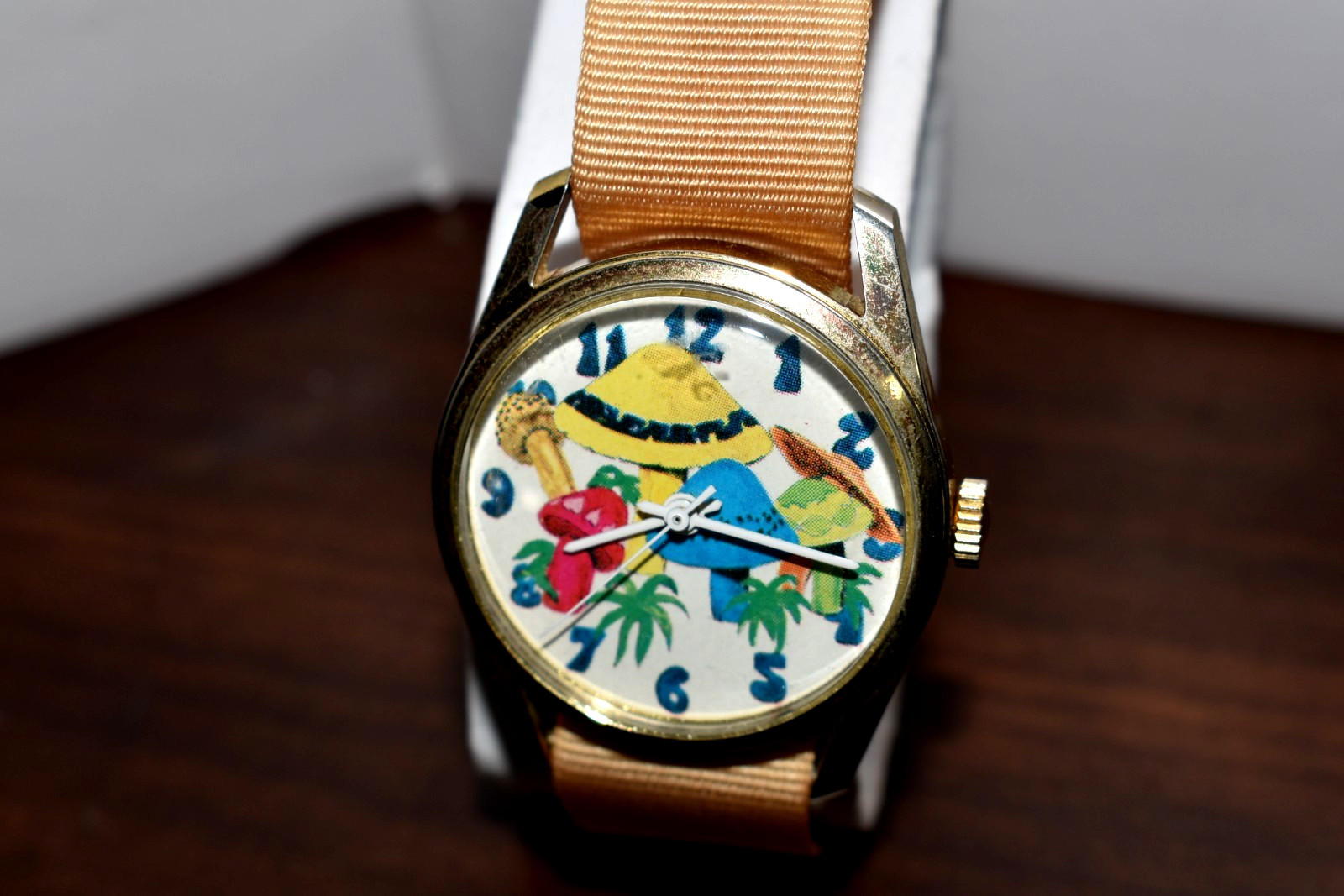 VHTF Rare Rasis Swiss Made Mechanical Hand Wind Steel Watch Mushroom Dial Orig
