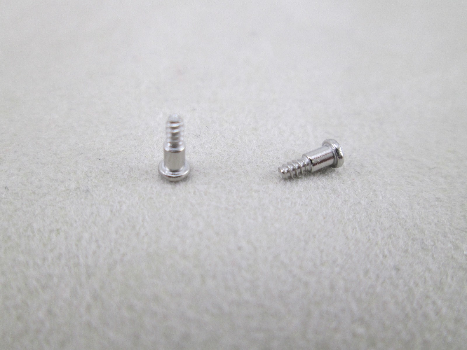 Casio G-Shock G6900 G9300 GA500 GAC100 GAC110 GB6900 GLS6900 bezel screws X 2