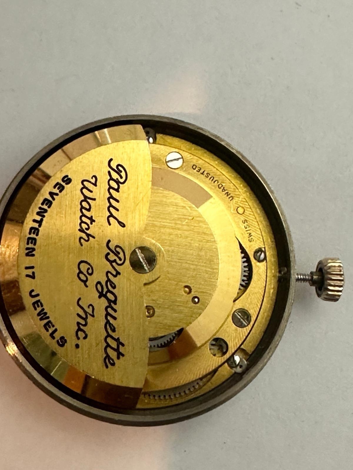 Paul Breguette 17 Jewels Movement With Dial Hands & Crown (Working)