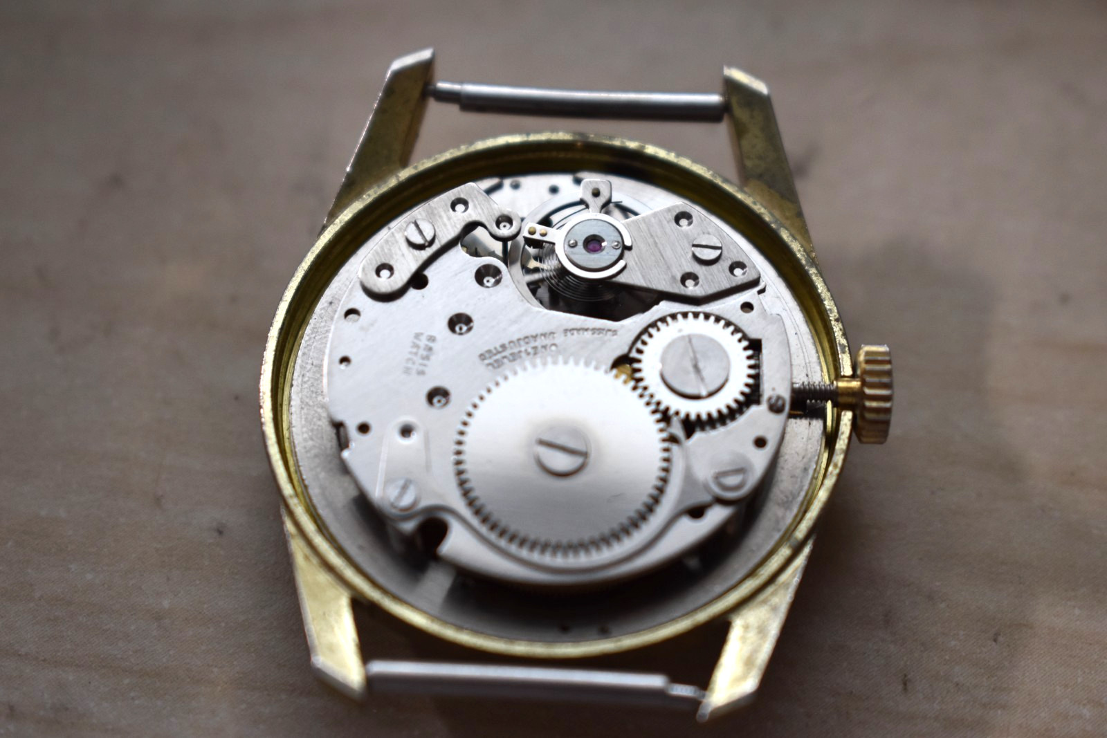 VHTF Rare Rasis Swiss Made Mechanical Hand Wind Steel Watch Mushroom Dial Orig